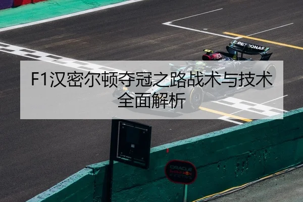 F1汉密尔顿夺冠之路战术与技术全面解析